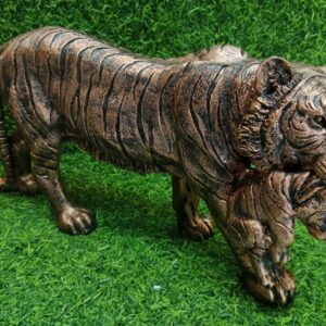 Catching tiger