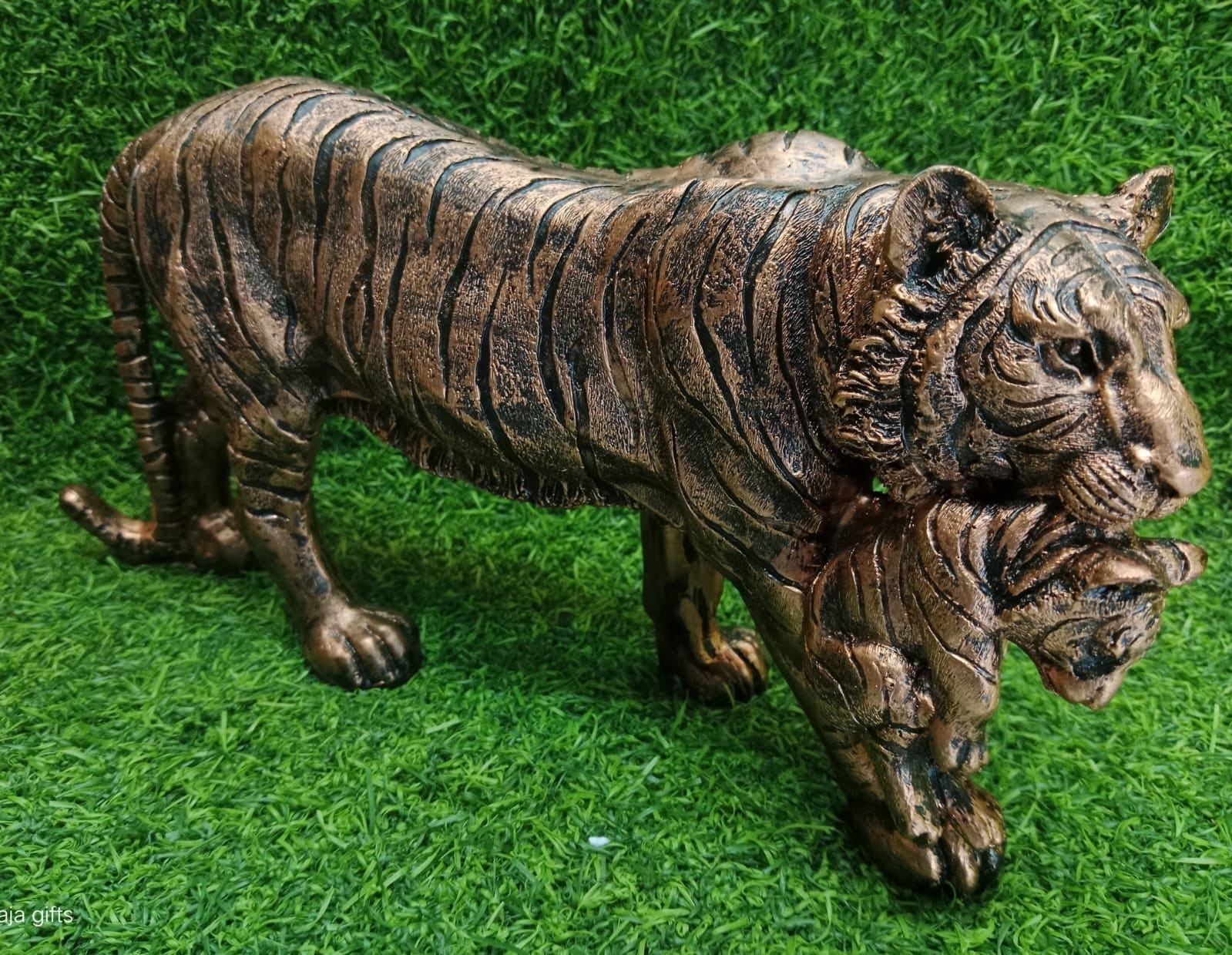 Catching tiger